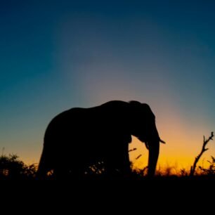 Tarangire National Park